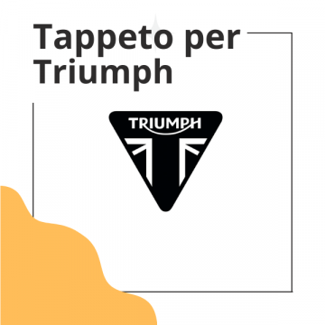 TRIUMPH ACCLAIM